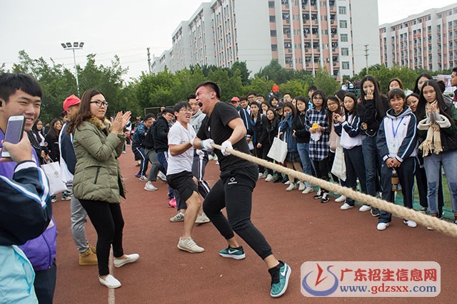拔河比賽