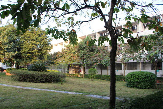 校內(nèi)公園1 拷貝.jpg