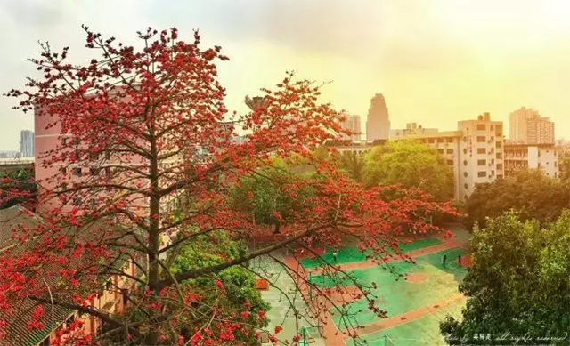 微信圖片_20200422093130.png