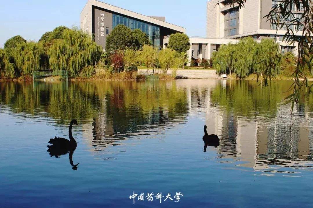 中國藥科大學(xué)