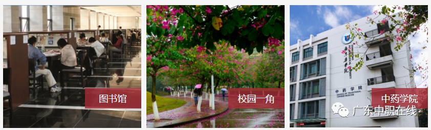 廣東藥科大學(xué)校園風(fēng)光